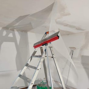 1000043347-standard.jpg