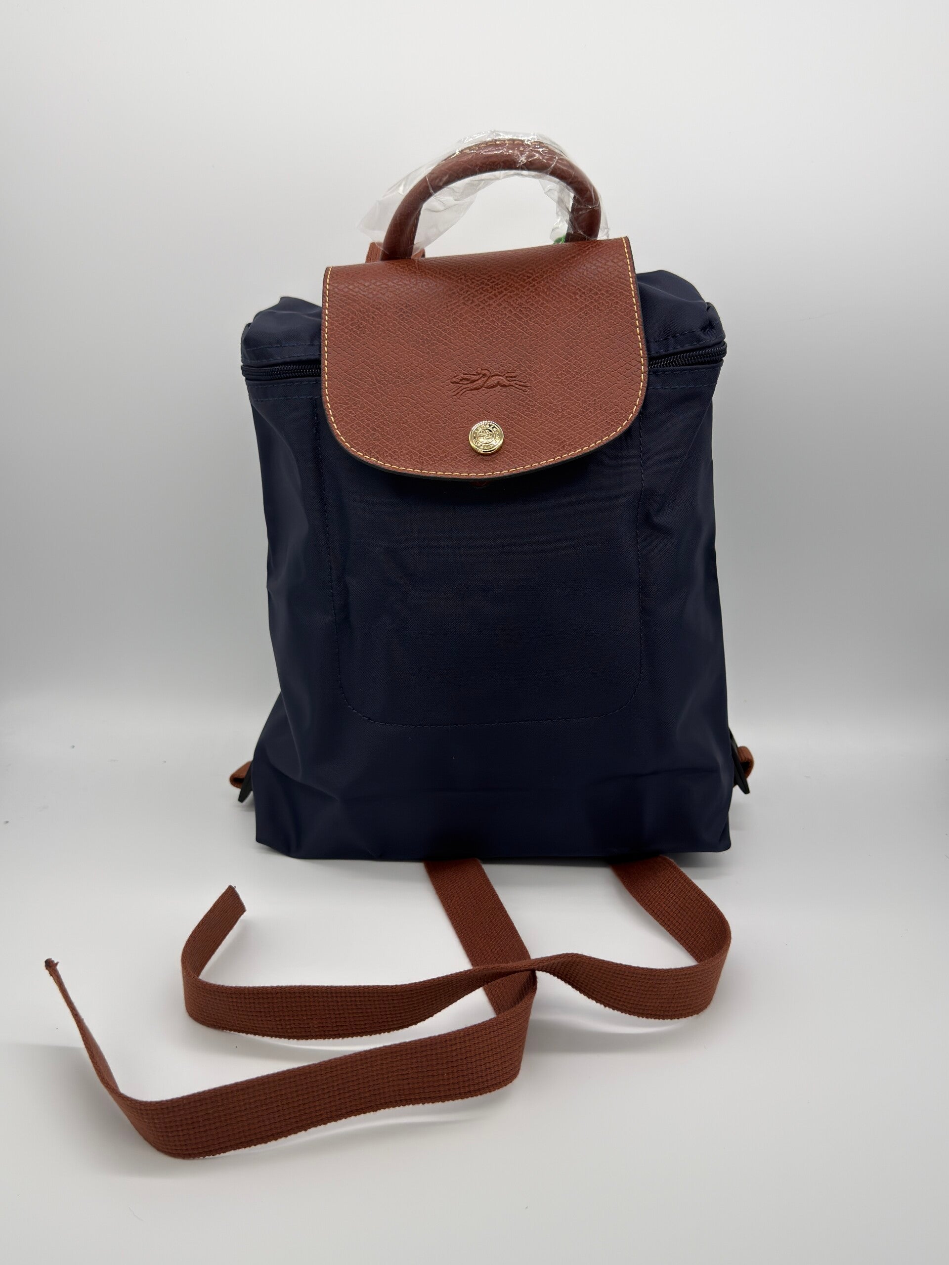 Longchamp Backpack