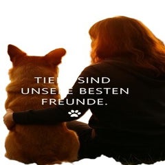 tierfreunde1-standard.jpg