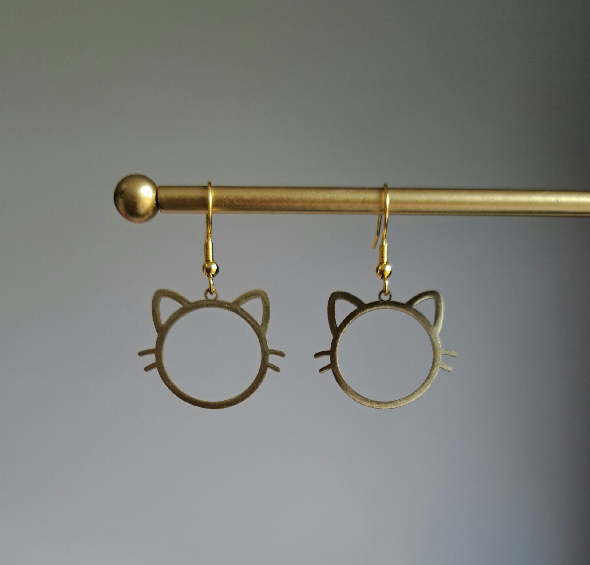 Funny cats