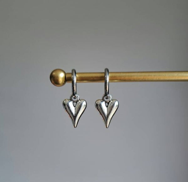 Stainless steel met koperen hart