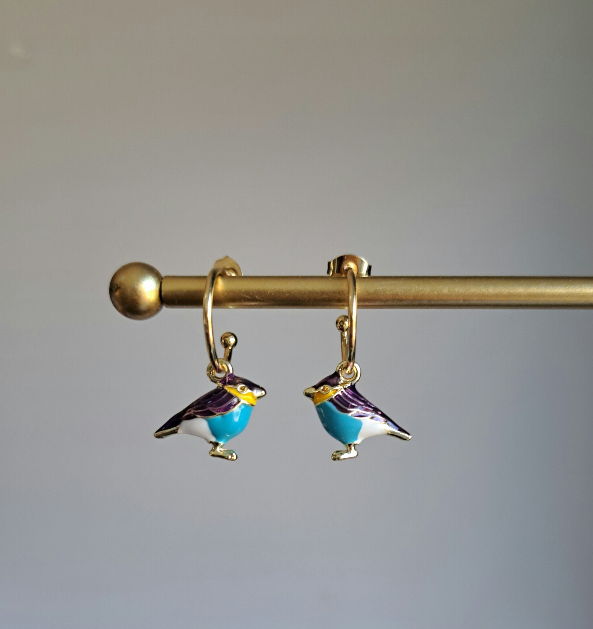 Blauw paarse vogeltjes