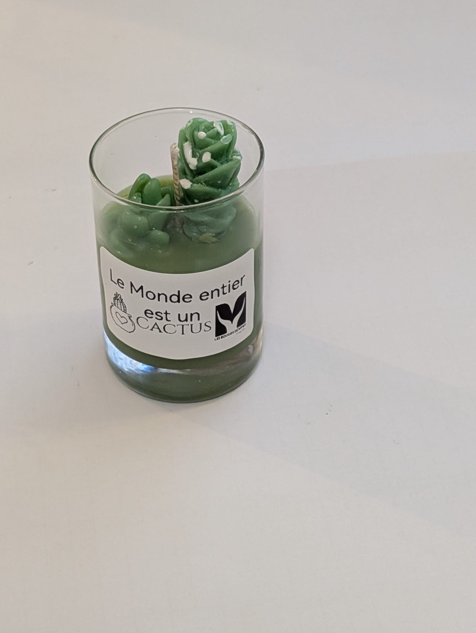 Bougie Le Monde entier est un Cactus 2