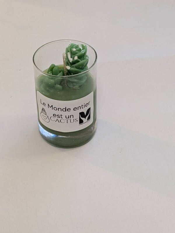 Bougie Le Monde entier est un Cactus 2