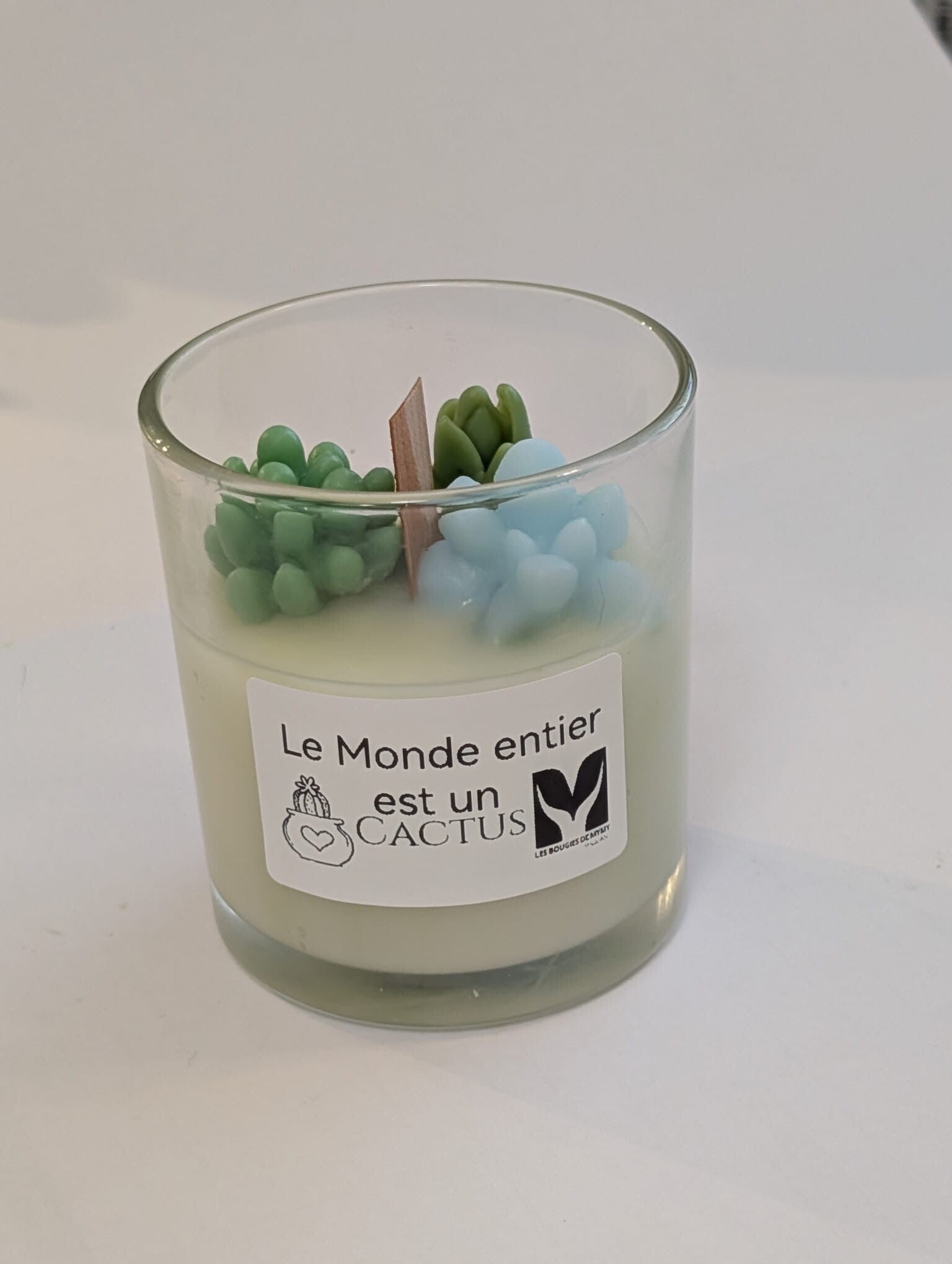 Bougie Le Monde Entier est un Cactus 4