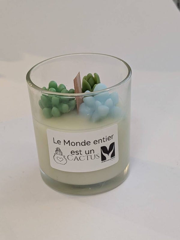 Bougie Le Monde Entier est un Cactus 4