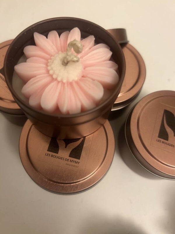 Bougie Collection Fruitée