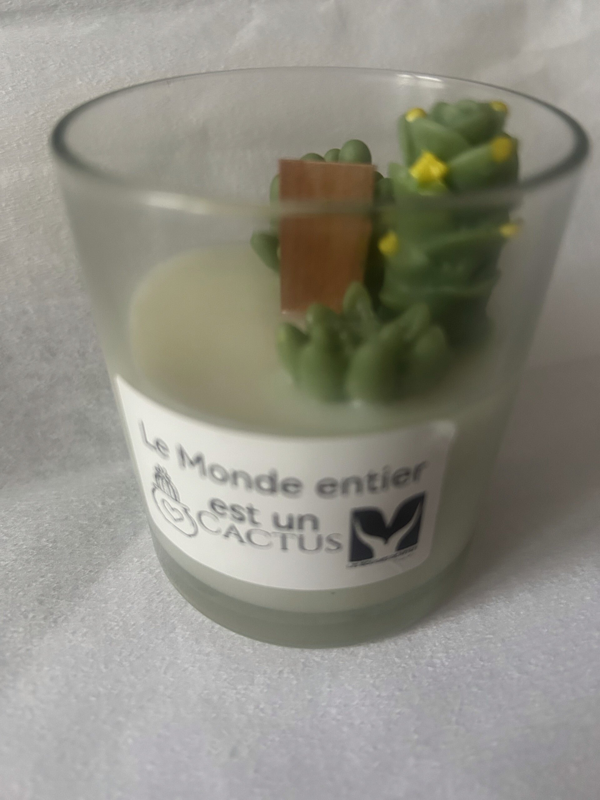 Bougie Le Monde Entier est un Cactus 5
