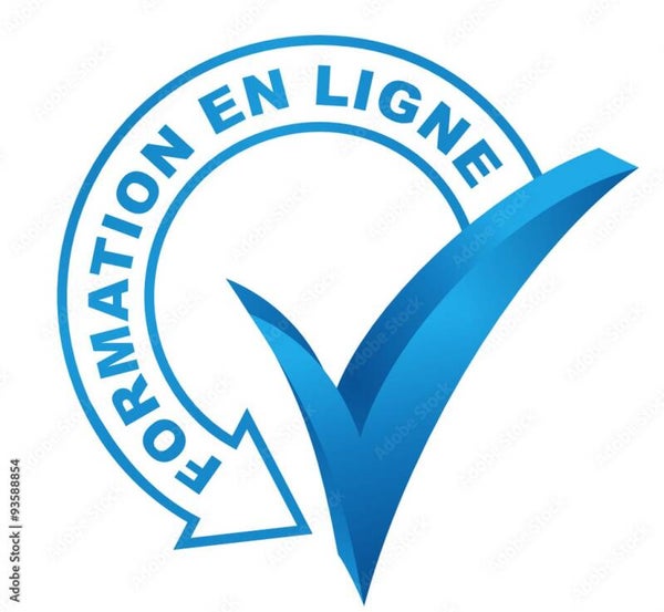 FORMATION WEB : REALISER SYNERGIES ET AMALGAMES