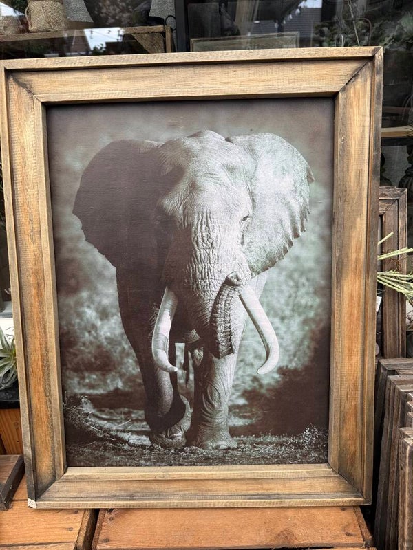 Schilderij 40x50 olifant