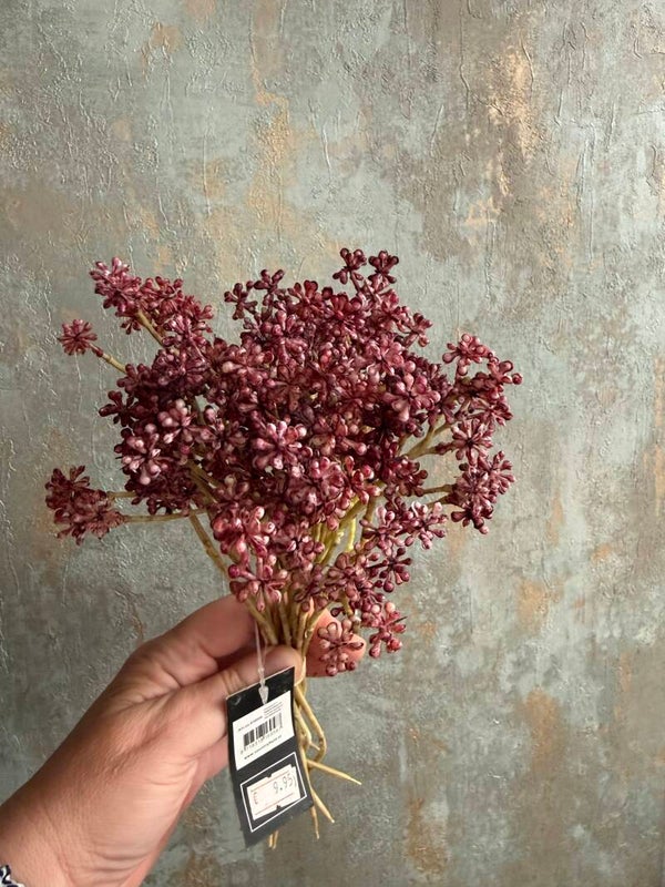 Skimnia Countryfield rood