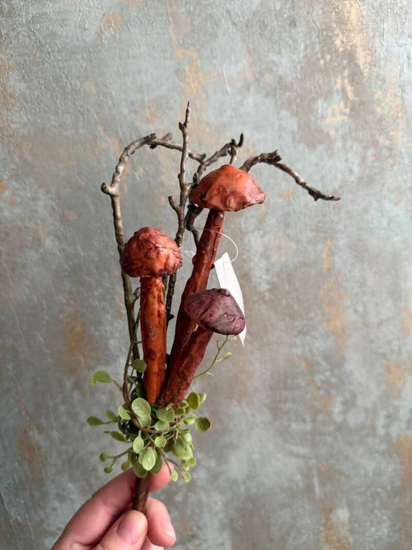 Paddestoelen bosje