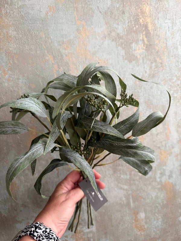 Eucalyptus Countryfield 40 cm