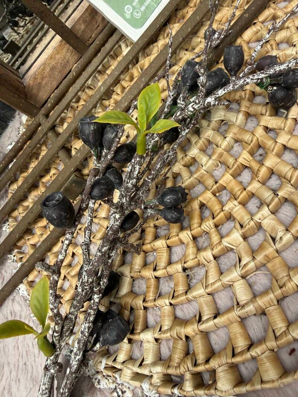 Eucalyptus tak Countryfield kunst 80 cm