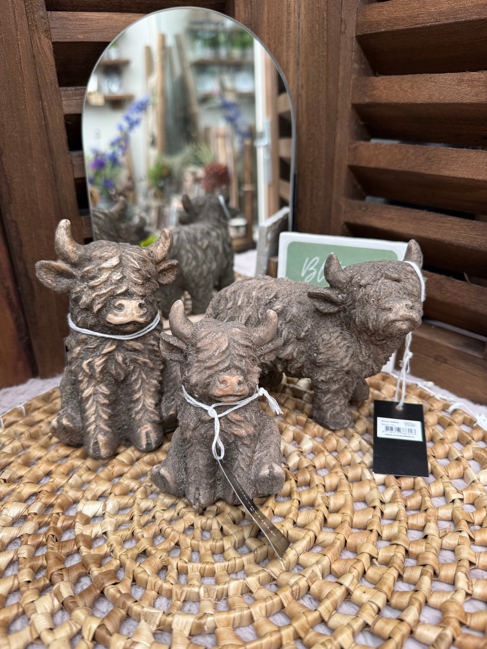 Schotse hooglanders