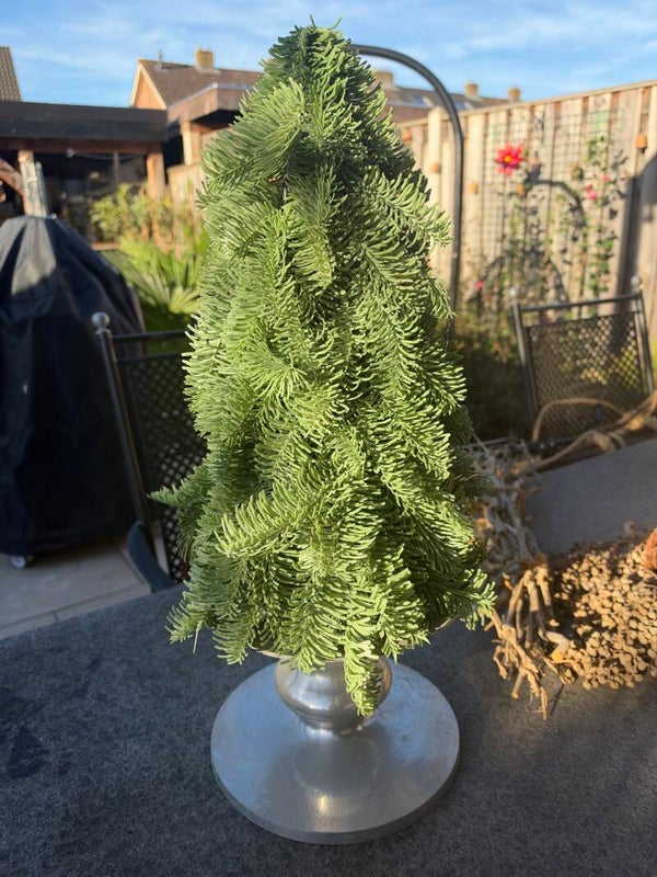 Nobilis boom kunst 42 cm