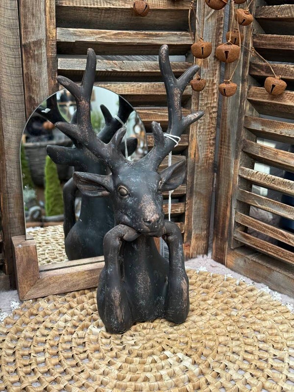 Hert zen donker groot