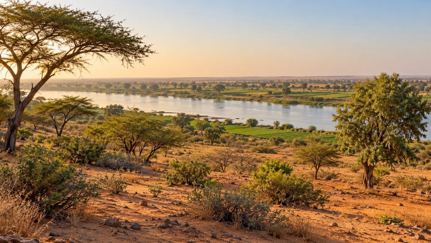 AI-generated illustration of Podor sandy Sahel scrub and the Senegal River valley