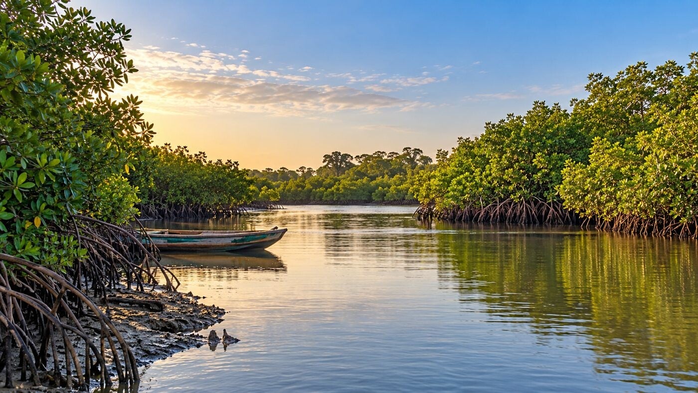AI-generated illustration of Toubacouta mangrove creek and Saloum Delta woodland