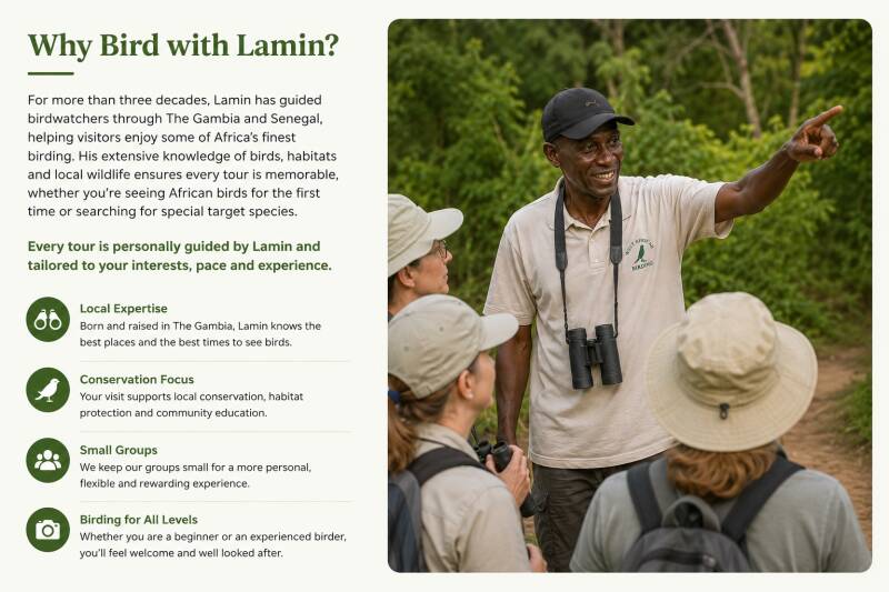 Lamin Jobaate leading a birdwatching tour in The Gambia