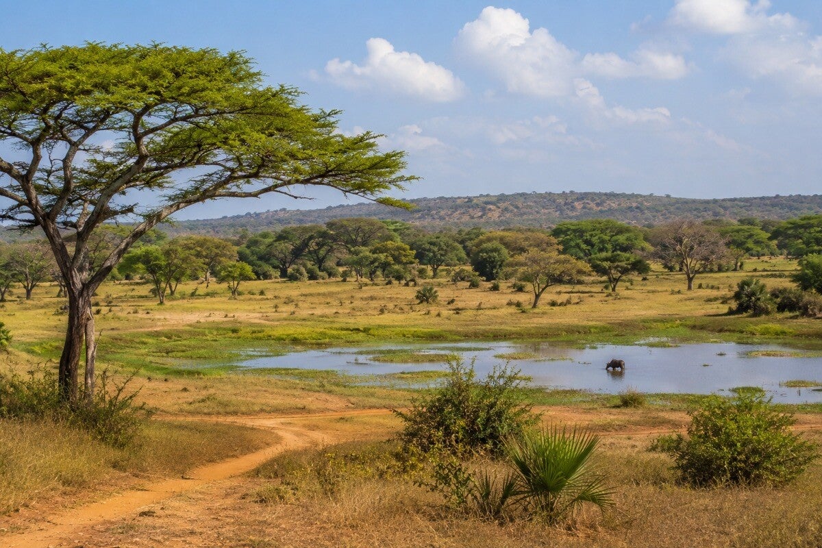 Open savannah and woodland in Kiang West National Park
