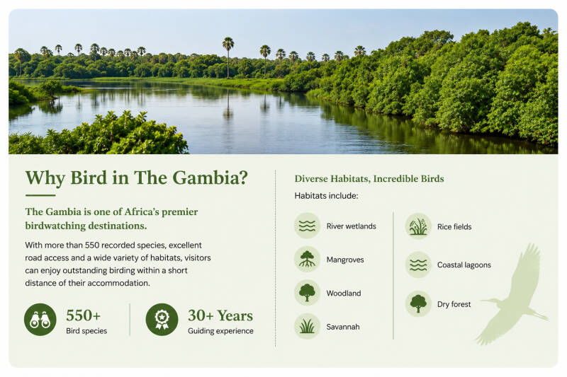 Kotu Creek birdwatching location in The Gambia