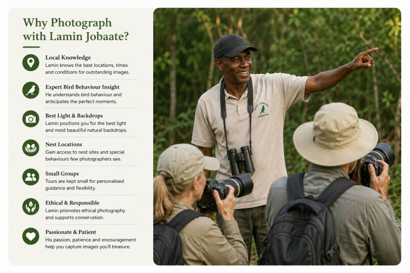 Lamin photograph: Lamin Jobaate guiding a bird photography tour