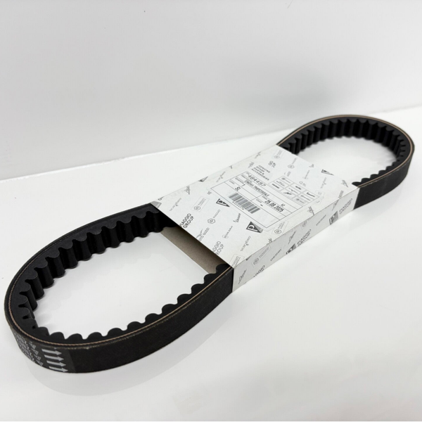 Genuine Piaggio/Gilera 180cc Belt