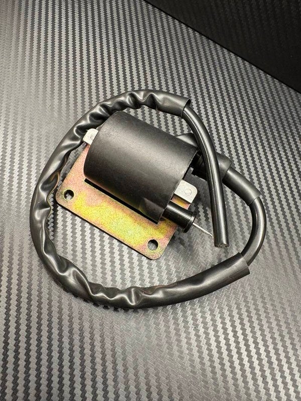 Piaggio/Gilera 125/180 2Stroke OEM Coil