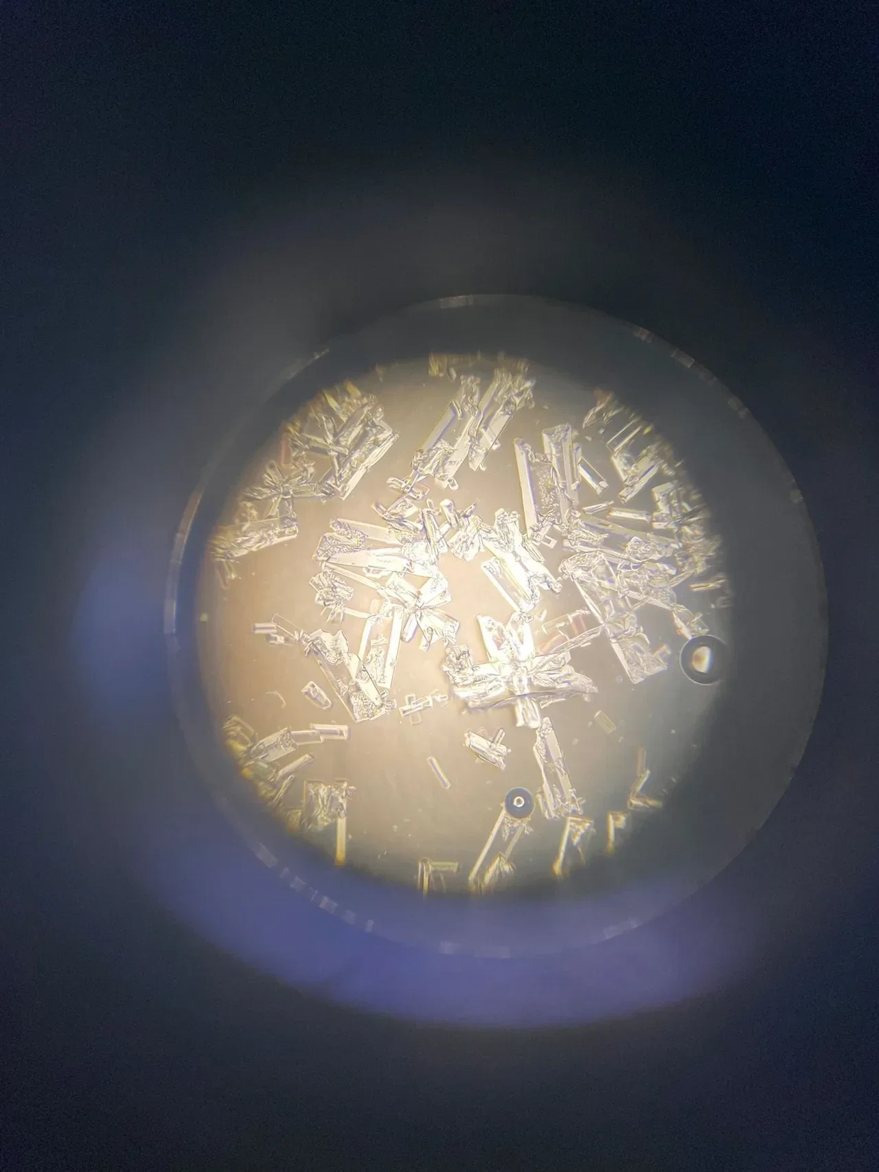 Microscopisch onderzoek