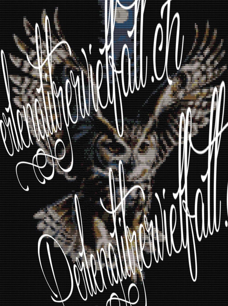 Brau-weisse-Eule-im-anflug-die-flügel-ausgestreckt-nach-oben-im-schwarzen-wald-oben-mittg-im-bild-der-vollmond.