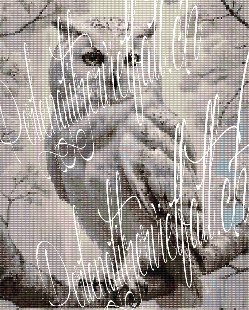 stolze-weisse-Eule-sitzend-auf-einem-ast-im-hintergrund-ein-paar verschneite-zweige.