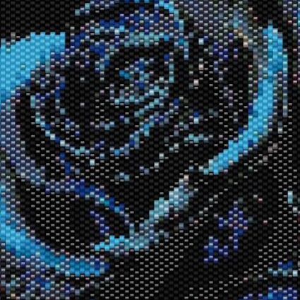 offene-blaue-rose-blätter-silber-grau-glänzend-schwarzer-hintergrund.