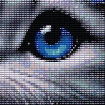 Ein Muster einer eleganten Katze mit strahlend blauen Augen.