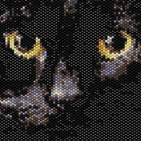 Muster eines schwarzen Katers mit strahlend gelben Augen, stilvoll und ansprechend.