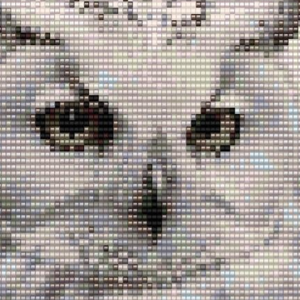 stolze-weisse-Eule-sitzend-auf-einem-ast-im-hintergrund-ein-paar verschneite-zweige.