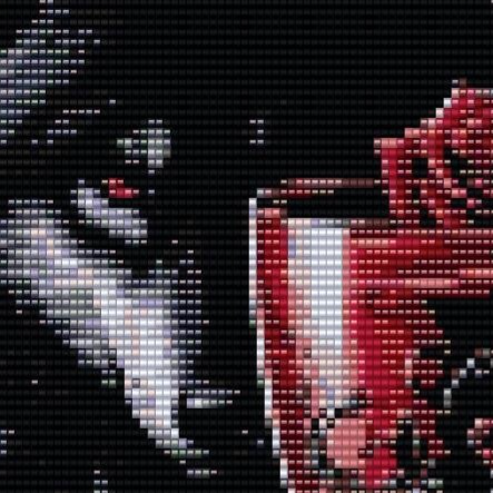 Ein majestätischer Wolf, umgeben von roten Rosen, vor einem tiefschwarzen Hintergrund, der Luxus und Geheimnis verkörpert.