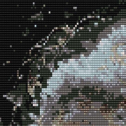 verschneiter-weisser-halbkugelförmiger-baum-dicker-stamm-trieft-auf-den-verschneiten-boden-schwarzer-hintergrund.