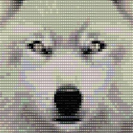 Ein Muster eines weißen Wolfs, der majestätisch im Wald steht, umgeben von sanften, grünen Bäumen.