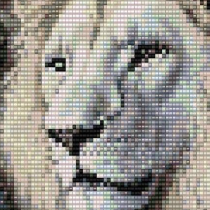 Der-Löwe-liegt-halb-auf-der-schoss-von-der-Engelsfrau-mit-einem-langen-weissen-kleid-sie-sieht-auf-die-linke-seite-hinter-ihr-ein-grosser-weisser-flügel-alles-im-warmen-weiss-gehalten.