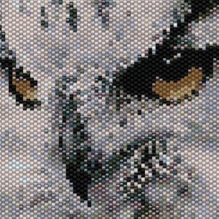 Detailliertes Kreuzstichmuster einer Eule mit einem großen Auge, das die Schönheit und Komplexität des Designs zeigt.