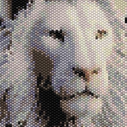 Ein majestätischer Löwe neben einer Rose, mit dem Buchstaben A in elegantem Schriftzug.