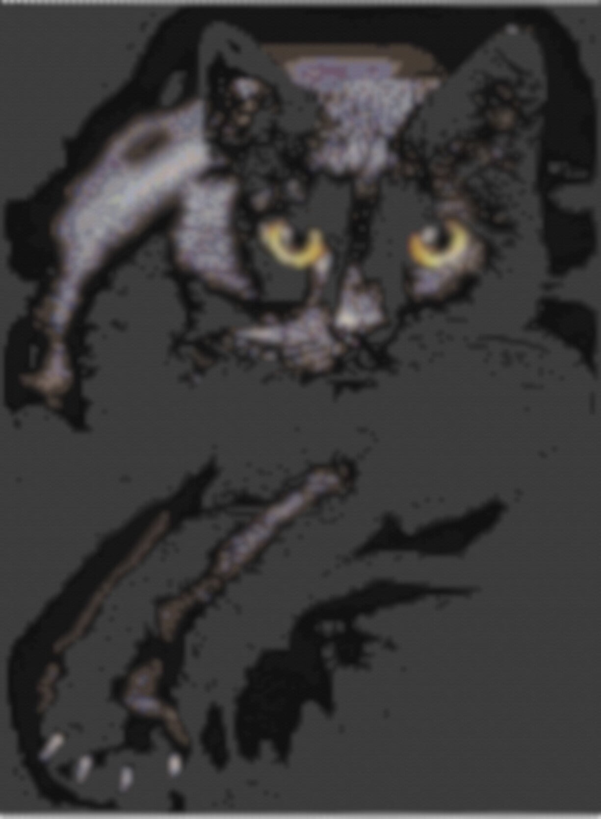 Muster eines schwarzen Katers mit strahlend gelben Augen, stilvoll und ansprechend.