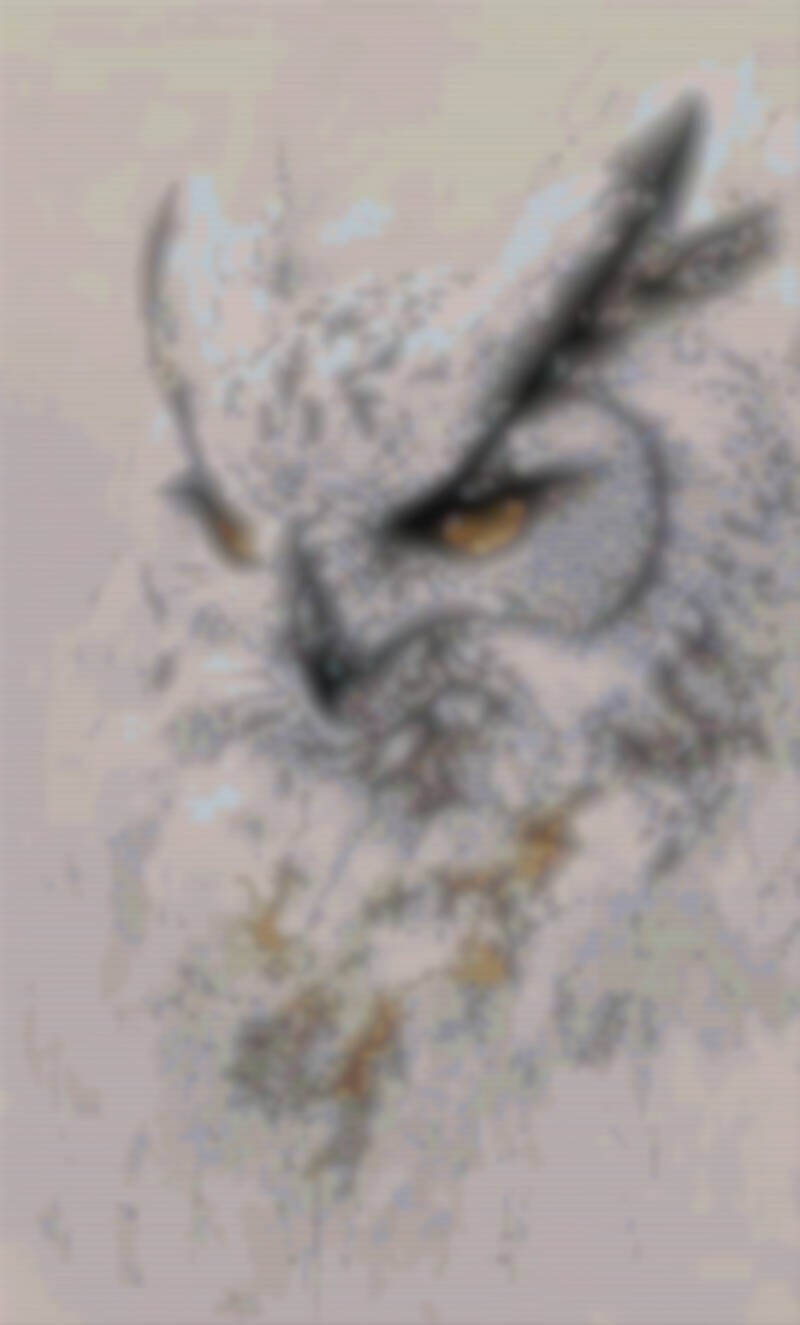 Eine kunstvolle Eule, geschmückt mit einem exquisiten Kreuzstichdesign, das ihre Anmut hervorhebt.