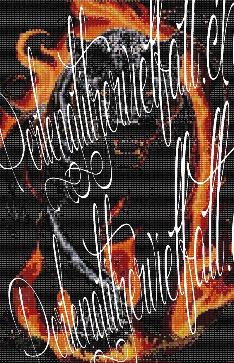 schwarzer-panter-läuft-aus-den-rot-orangen-gelben-feuer-von-flammen-umgeben-auf-dich-zu-linke-pfote-gehoben-sieht-dich-an-hintergrund-schwarz.