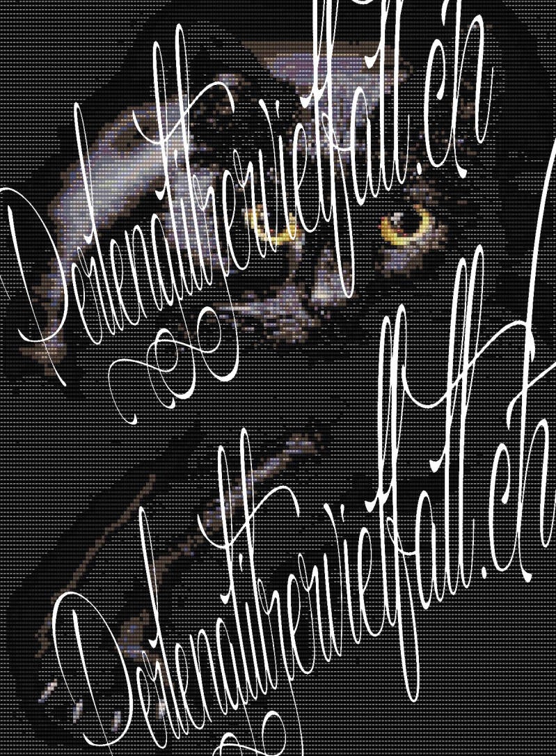 Muster eines edlen schwarzen Katers mit strahlend gelben Augen.