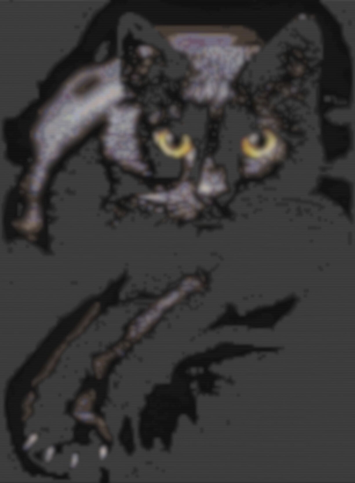 Muster eines edlen schwarzen Katers mit strahlend gelben Augen.