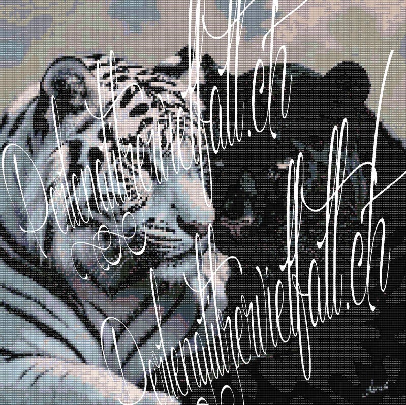 Ein Muster von zwei  Tigern, die majestätisch in einer natürlichen Umgebung posieren.