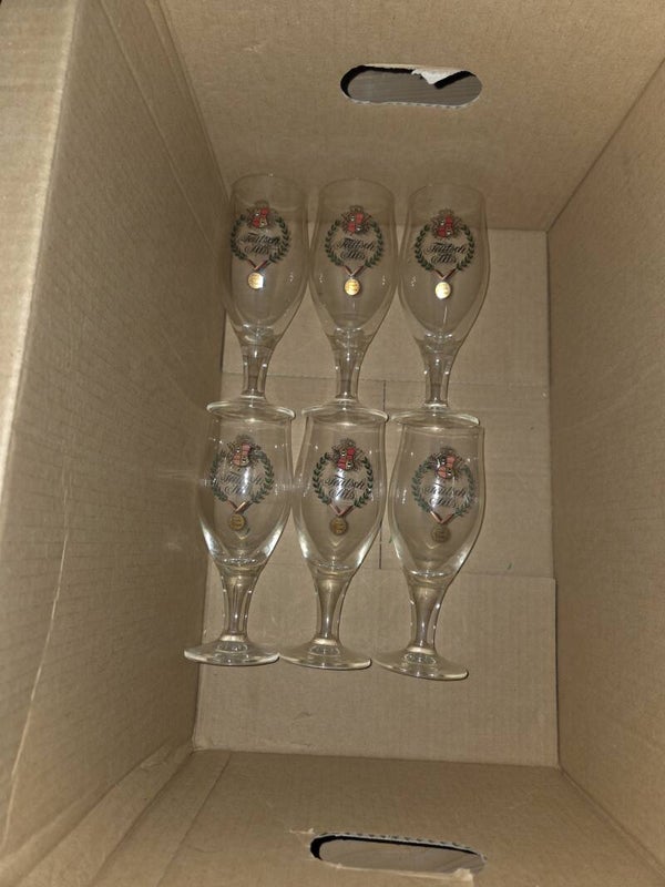 6 Biergläser „Fürstlich Pils“ – Sammlerstücke / Biergläser-Set