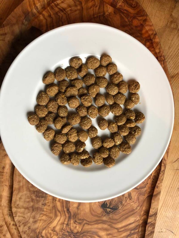 New Power Food mit Fisch 20kg für nur 55,-€